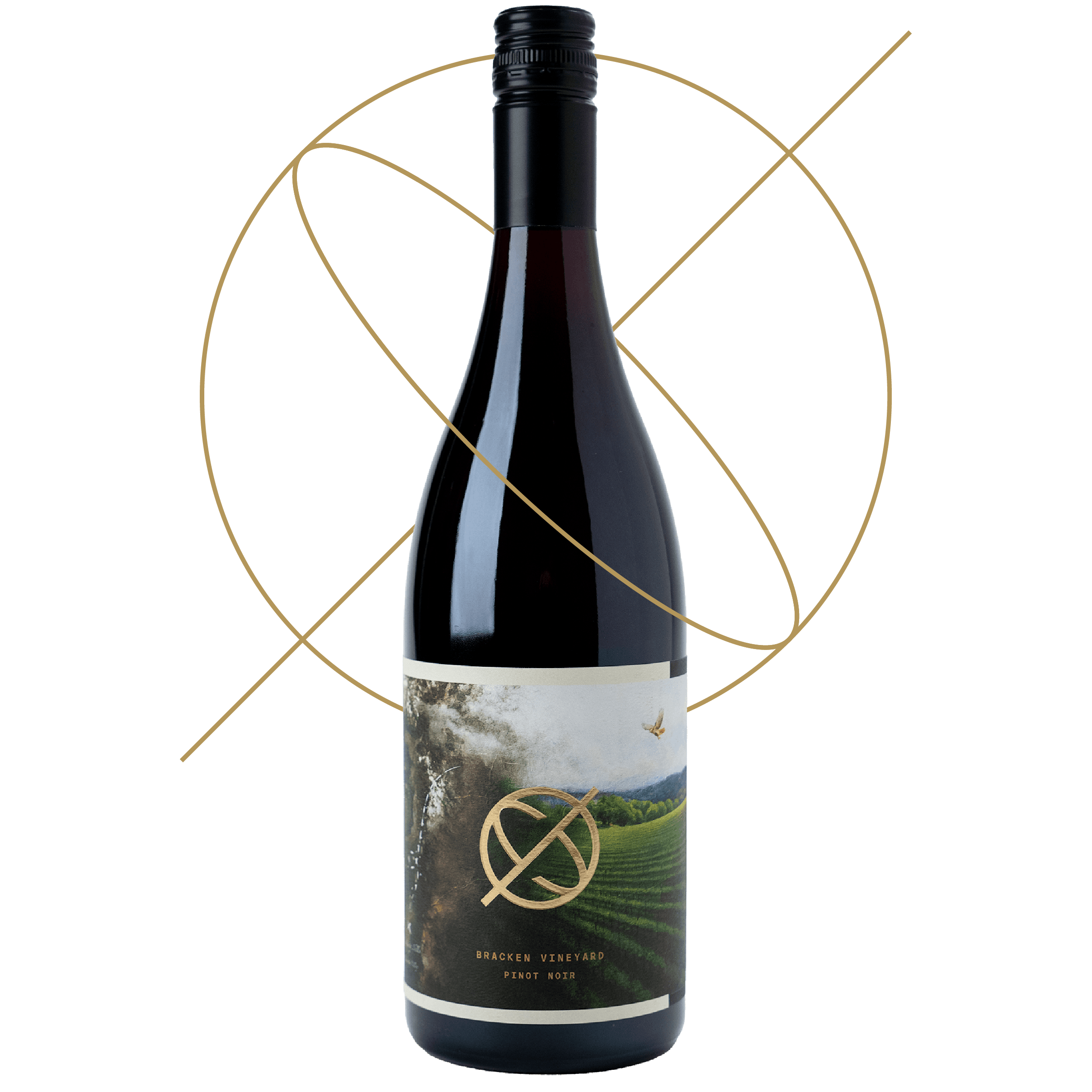 Bracken Vineyard Pinot Noir 2024 wine thumbnail image