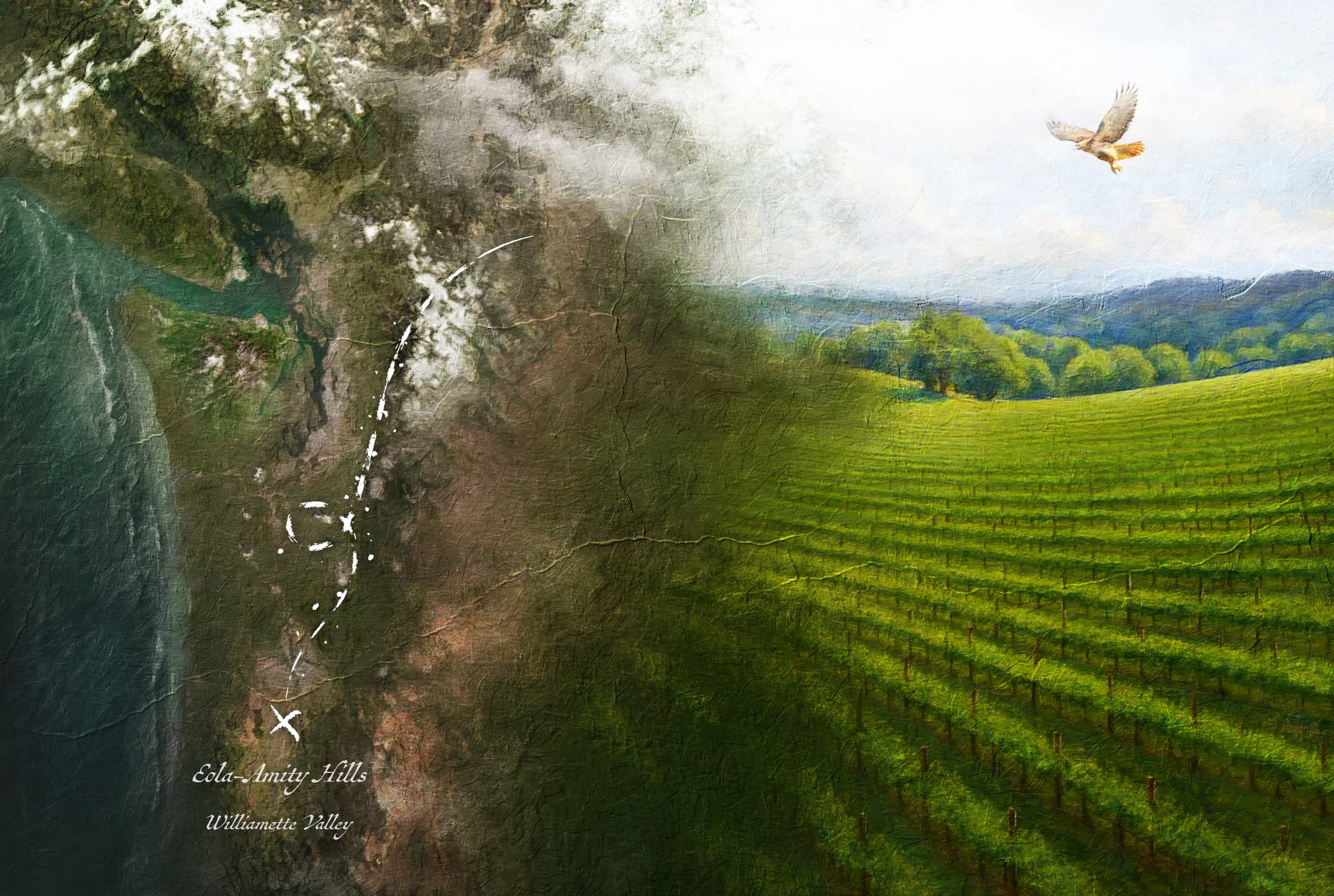Bracken Vineyard, Willamette Valley by Zoran Milin